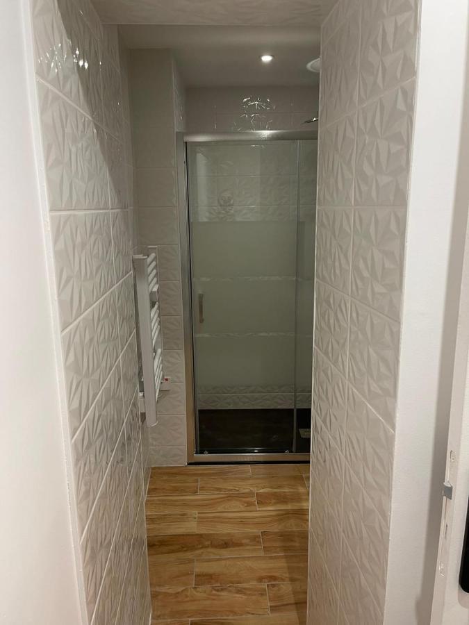 Le Jardin Niortais - Hyper Centre- Proche Gare - Paisible - Grand Jardin Prive, Wifi Hd -Netflix Apartment Exterior foto